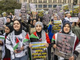 Supporters of Palestinians gather in the Loop in Chicago on Wednesday, Oct. 11, 2023.